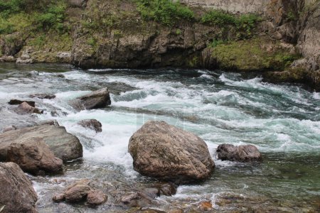 Débit d'eau dans une petite rivière de montagne peu profonde le jour d'été. Les pierres sortent de l'eau claire. Gros plan.
