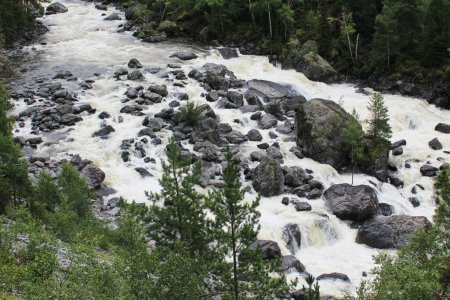 Cours d'eau bouillonnant d'une rivière de montagne avec de grandes pierres, dans une zone forestière. République d'Altaï, Sibérie, Russie