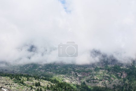 Clouds completely covered the high mountains in the natural park. Green trees forest, rocks and stones. Copy space for tourism and hike concept. 