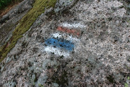 Rote und blaue Spur. Markierung einer Wanderroute in den Bergen auf einem Stein. Navigation im Wald. Hochwertiges Foto