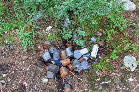 Garbage thrown in forest, empty bottles and burnt cans scattered around. Negative impact of human behavior on natural environment, need for responsible waste disposal, conservation efforts of nature.