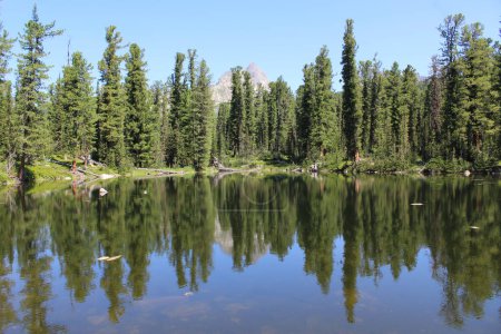 Téléchargez les photos : Étang avec réflexion, entouré par une forêt de cèdres. Mountain Bear Medvezhye lac dans le parc naturel Ergaki, Sibérie, région de Krasnoïarsk, Russie. Paysage d'été - en image libre de droit