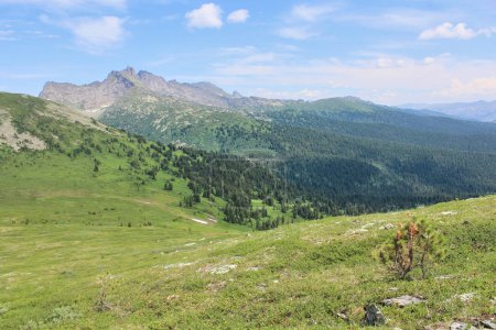 Sommerliche Berglandschaft. Blick vom Hügel auf die Mulde zwischen den Bergen. Grüner Wald, hohe Felsgipfel, blauer Himmel mit Wolken. Naturpark Ergaki