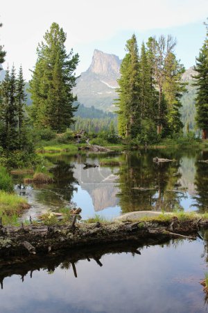 Hohe Berggipfel und Zedern spiegeln sich im Teich wider. Konzept der touristischen Bergwege. Sommerlandschaft an sonnigem Tag