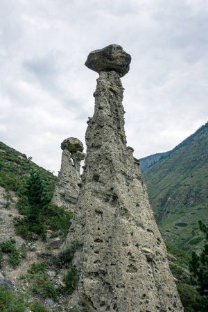 Steinpilze - geologische Überreste. Sommerliche Naturlandschaft. Republik Altai, Sibirien, Russland. Vertikales Foto