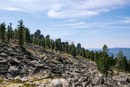 Paysage naturel d'été, nuages de ciel bleu. mensonge du sol : Accumulations de blocs de pierre à angle aigu, crête de roches dans la forêt de conifères en arrière-plan. kuturchinskoye belogorye Krasnoyarsk région
