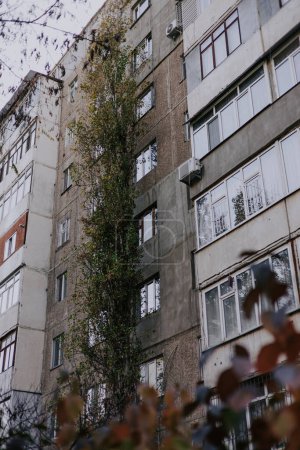 Typischer sowjetischer Plattenbau. Beliebter Wohnraum aus der Zeit der UdSSR in den GUS-Staaten. Bischkek, Kirgisistan, Kirgisische Republik. Die Pappel wächst in der Nähe des Hauses. Balkone unterschiedlicher Art. 