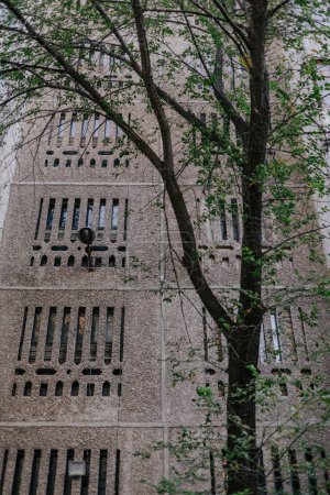 Baum mit grünen Blättern vor dem Hintergrund eines typischen sowjetischen Wohnhauses mit geschnitzten Platten. Architektur im alten Stil.