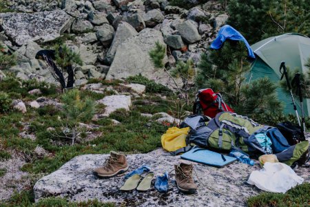 Photo for Equipment in the forest: tourist tent, clothes and shoes to dry on tree branches and stones at summer day. Tourist camping on a hike. - Royalty Free Image