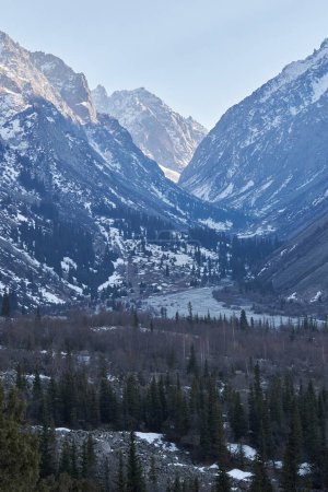 Foto de Altas montañas rocosas con nieve, iluminadas por el cálido sol poniente. Paisaje natural en el Parque Nacional Ala-Archa. Primavera en Kirguistán. Bosque de coníferas a la sombra. - Imagen libre de derechos