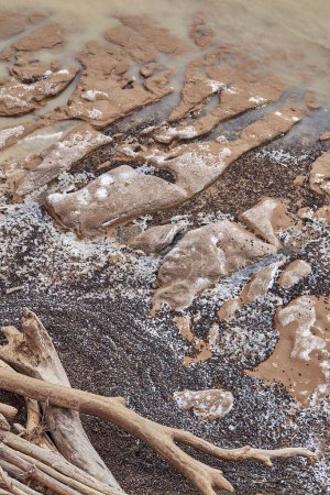 Beautiful patterns of frozen sandy sea coast. A lot of snail shells, sand, logs covered in frost, sprinkled with snow. water cut up the soil. Natural background, abstract wallpaper. offseason seascape
