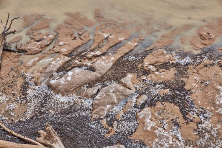 Beautiful patterns of frozen sandy sea coast. A lot of snail shells, sand, logs covered in frost, sprinkled with snow. water cut up the soil. Natural background, abstract wallpaper. offseason seascape