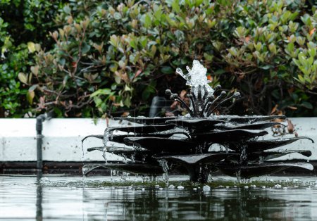 Kleiner Wasserbrunnen im Teich, in Form einer Blume. Gestaltung städtischer Räume, Gärten, Hotelanlagen oder Innenhöfe. Landschaftsplanung, Außendekoration
