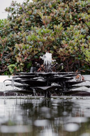 Small water fountain in pond, shape of flower. Landscaping of urban spaces, garden, hotel grounds or courtyards. Landscape design, outdoor decoration