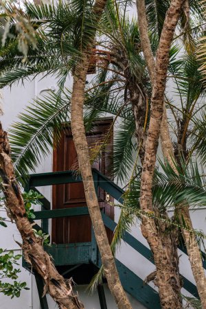 Brown wooden door and green stairs outside. View through palm trees. Additional rear entrance to the villa, hotel room through the garden. White building wall. Summer vacation vibe