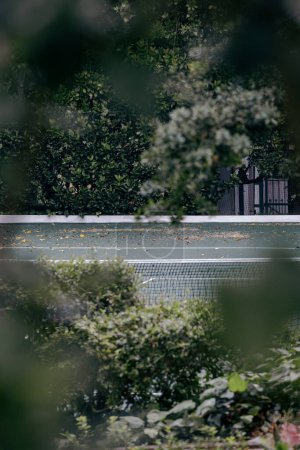 vue imprenable à travers le feuillage du court de tennis vert, zone de l'hôtel, terrain de pratique de tennis unkempt. 