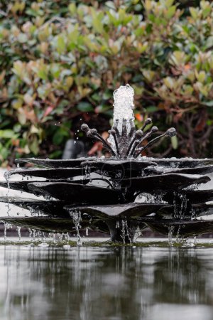 Téléchargez les photos : Petite fontaine d'eau en étang, forme de fleur. Aménagement paysager des espaces urbains, jardin, terrain d'hôtel ou cours. Aménagement paysager, décoration extérieure. éclaboussures et jets d'eau, réflexion - en image libre de droit