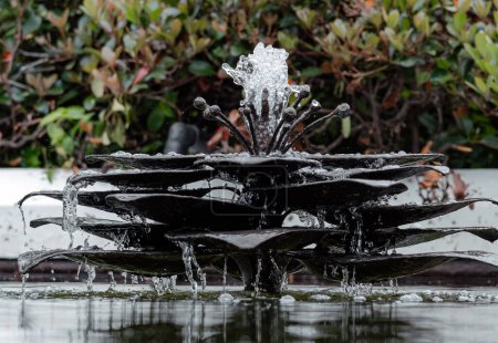 Water fountain in pond, shape of flower. Landscaping of urban spaces, garden, hotel grounds or courtyards. Landscape design, outdoor decoration