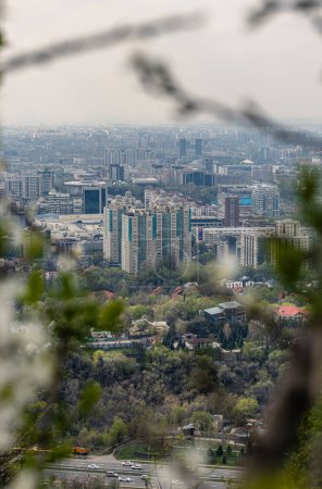 View of multi-storey and low-rise buildings through the branches of flowering trees and bushes in Kok Tube park. Cityscape Almaty, Kazakhstan. 