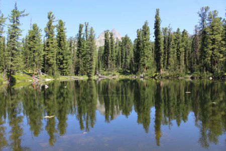 Estanque con reflejo, rodeado de bosque de cedro. Mountain Bear (Medvezhye) lago en el parque natural de Ergaki, Siberia, región de Krasnoyarsk, Rusia. Paisaje verano