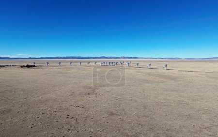 Photo for Birds eye view - Very Large Array, New Mexico - Royalty Free Image