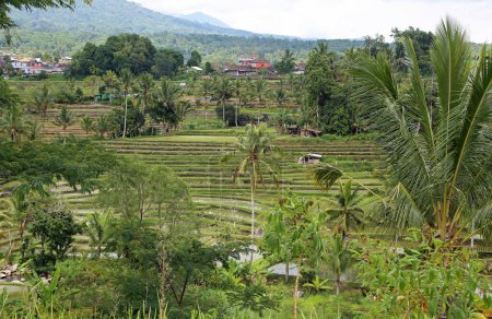 Le village de Jatiluwih Rice Terraces, Bali, Indonésie
