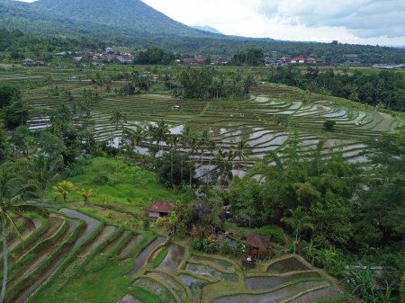 Paysage dans le centre de Bali - Jatiluwih Rice Terraces, Bali, Indonésie