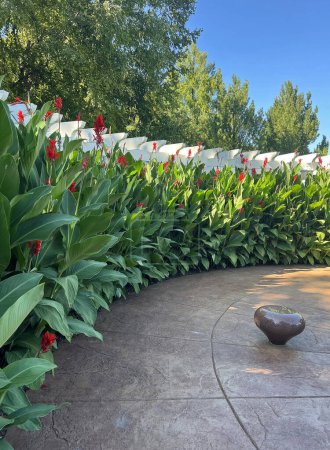 The row of canna flower, Hershey, Pennsylvania