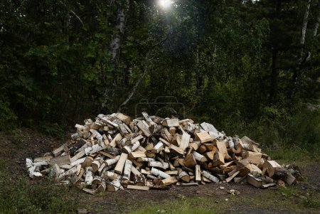 Foto de Pile of firewood outdoors in the nature. Stack of chopped woods to be used as fuel or heating material. - Imagen libre de derechos