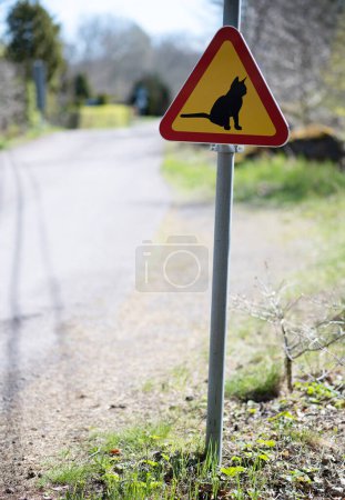Foto de Firma en el camino del campo - ten cuidado con los gatos. Símbolo de precaución y señal de tráfico rural en Suecia, pidiendo a los conductores que presten atención a los gatos en el vecindario. - Imagen libre de derechos