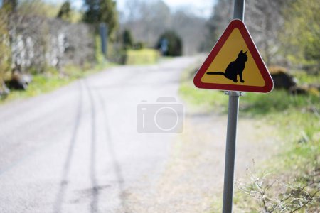 Foto de Firma en el camino rural - ten cuidado con los gatos. Símbolo de precaución y señal de tráfico en el campo en Suecia, pidiendo a los conductores que presten atención a los gatos en el barrio. - Imagen libre de derechos