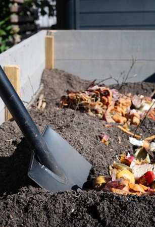 Foto de Pala y compost bokashi. Residuos de alimentos pre-fermentados que se añadirán al suelo en el lecho de jardín para la jardinería orgánica. Foto tomada en Suecia. - Imagen libre de derechos