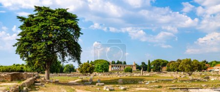 Panorama of the Temple of Athena at Paestum was an ancient Greek city in Magna Graecia, southern Italy.