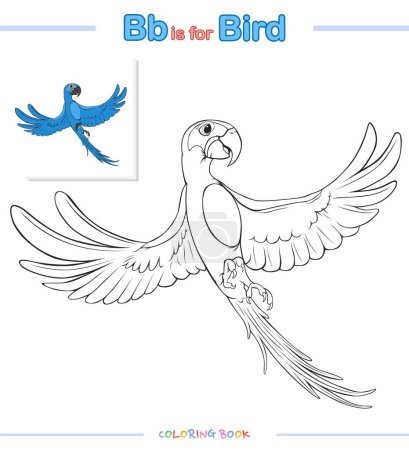 Photo for Coloring page animal Bird cartoon.vector, ready to use, ready to print, easy to edit.fun coloring with animal alphabet letter.cartoon look, basic, level 1. - Royalty Free Image