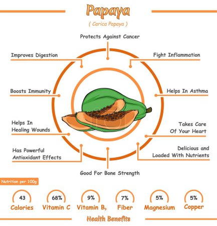 Photo for Papaya health benefits illustration. Ready to print, easy to edit, vector file, ready to use. - Royalty Free Image