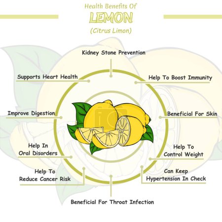 Photo for Lemon health benefits illustration. Ready to print, easy to edit, vector file, ready to use. - Royalty Free Image
