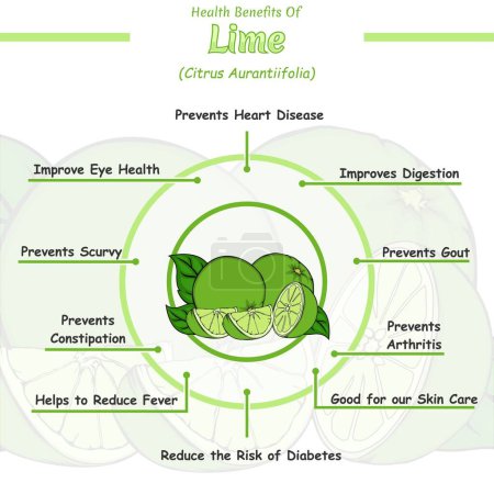 Photo for Lime health benefits illustration. Ready to print, easy to edit, vector file, ready to use. - Royalty Free Image