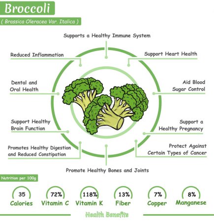 Photo for Broccoli health benefits illustration. Ready to print, easy to edit, vector file, ready to use. - Royalty Free Image