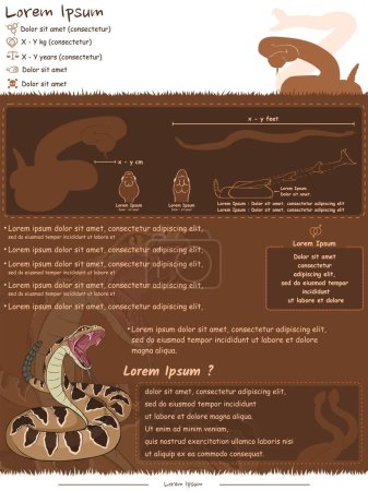 Illustration for Deer anatomy. Diagram showing parts of a Rattlesnake. infographic about Rattlesnake identification, facts and description. Can be used for topics like biology, zoology, poster. lorem ipsum version. - Royalty Free Image