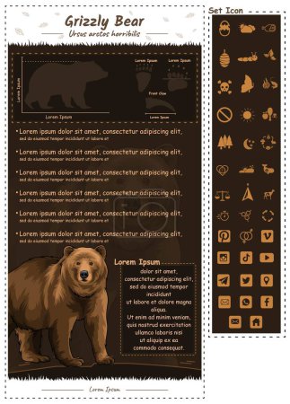 Téléchargez les illustrations : Gabarit Faits sur le grizzli. anatomie, jeu d'icônes, identification et description. Peut être utilisé pour des sujets tels que la biologie, la zoologie - en licence libre de droit