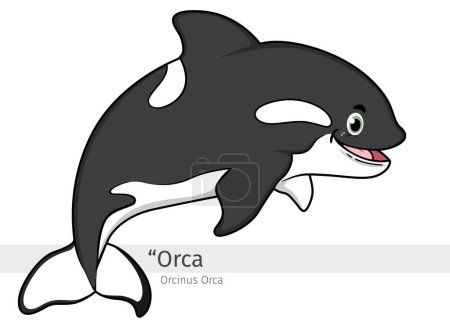 Photo for Orca Cartoon. orcinus orca Cartoon illustration. Marine animal isolated. Animal illustration collection. Killer whale Cartoon character - Royalty Free Image