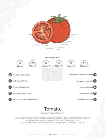 Illustration for Tomato illustration. Ready to print, easy to edit, vector file, ready to use. Tomato - Solanum lycopersicum illustration with nutrition and benefits wall decor Ideas - Royalty Free Image