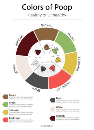 Color of poops or stools vector illustration template circle. Infographics for business presentations.