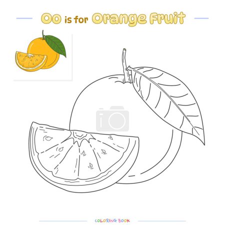 Dibujos para colorear y aprender el alfabeto con frutas lindas. Fruta naranja para colorear página. Juego educativo para niños. actividades divertidas para que los niños jueguen y aprendan.