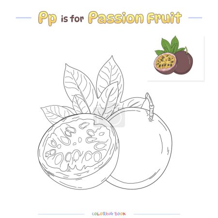 Dibujos para colorear y aprender el alfabeto con frutas lindas. Fruta de la pasión para colorear página. Juego educativo para niños. actividades divertidas para que los niños jueguen y aprendan.