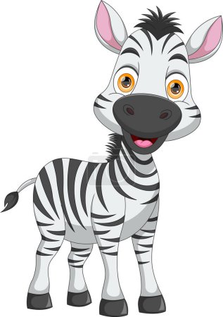 Illustration for Cute zebra cartoon on white background - Royalty Free Image