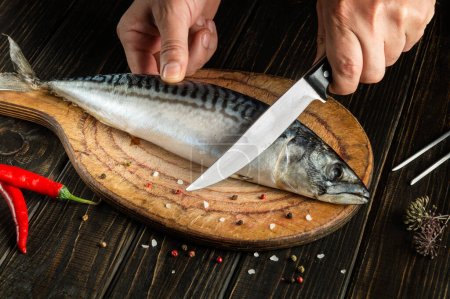 Photo for The cook cuts mackerel or scomber with knife on kitchen cutting board before cooking with spices and pepper - Royalty Free Image