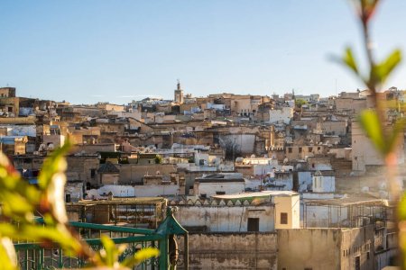 Téléchargez les photos : Vieille ville historique de Fès, au Maroc. Plantes au premier plan. - en image libre de droit