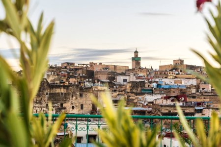 Téléchargez les photos : Vieille ville historique de Fès, au Maroc. Plantes au premier plan. - en image libre de droit