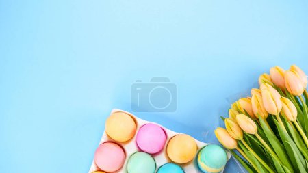 Colorful Easter eggs pack and yellow tulips on blue background with space for text. Spring flat lay. Pastel painted eggs in box